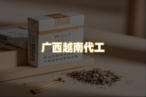 广西越南代工